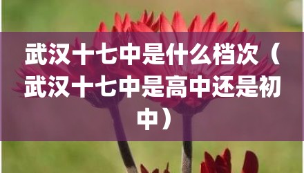 武汉十七中是什么档次(武汉十七中是高中还是初中)