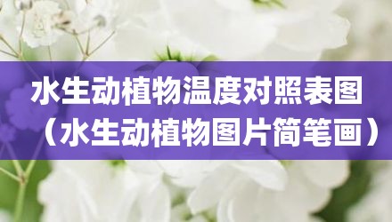 水生动植物温度对照表图（水生动植物图片简笔画）