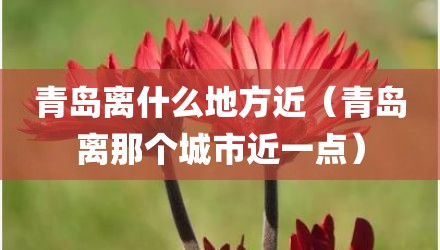 青岛离什么地方近（青岛离那个城市近一点）