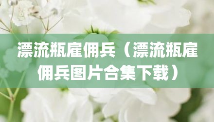 漂流瓶雇佣兵（漂流瓶雇佣兵图片合集下载）