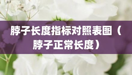 脖子长度指标对照表图（脖子正常长度）