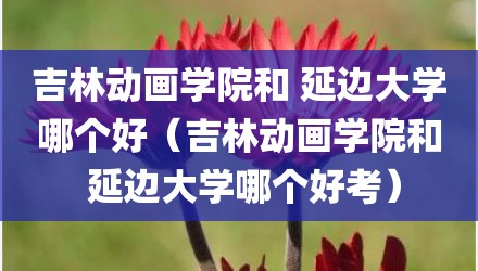 吉林动画学院和 延边大学哪个好（吉林动画学院和 延边大学哪个好考）