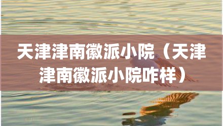 天津津南徽派小院（天津津南徽派小院咋样）