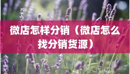 微店怎样分销（微店怎么找分销货源）