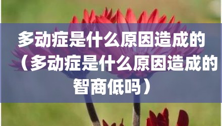 多动症是什么原因造成的（多动症是什么原因造成的智商低吗）