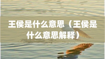 王侯是什么意思(王侯是什么意思解释)