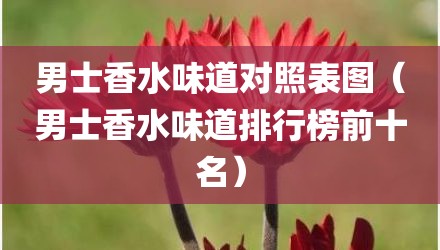 男士香水味道对照表图（男士香水味道排行榜前十名）