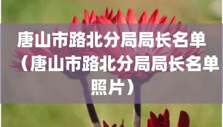 唐山市路北分局局长名单（唐山市路北分局局长名单照片）