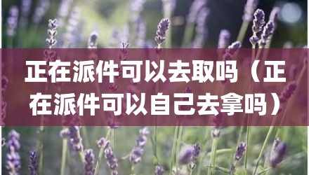 正在派件可以去取吗（正在派件可以自己去拿吗）