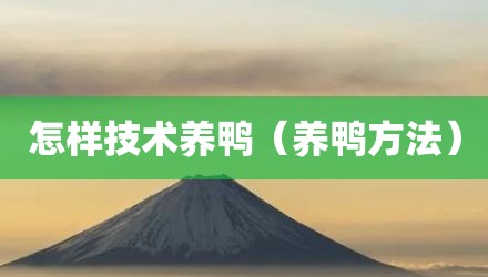 怎样技术养鸭（养鸭方法）