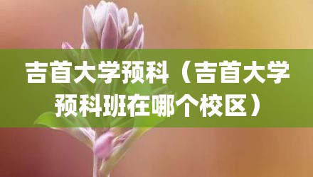 吉首大学预科（吉首大学预科班在哪个校区）