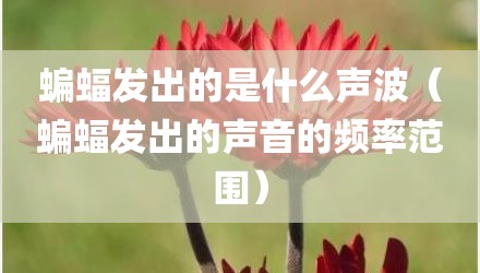 蝙蝠发出的是什么声波（蝙蝠发出的声音的频率范围）