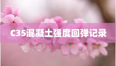 C35混凝土强度回弹记录