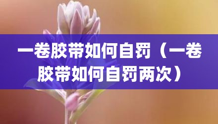 一卷胶带如何自罚（一卷胶带如何自罚两次）