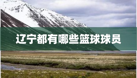 辽宁都有哪些篮球球员