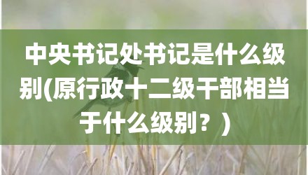中央书记处书记是什么级别(原行政十二级干部相当于什么级别？)