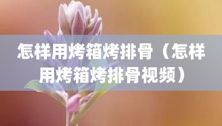 怎样用烤箱烤排骨（怎样用烤箱烤排骨视频）