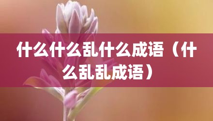 什么什么乱什么成语（什么乱乱成语）