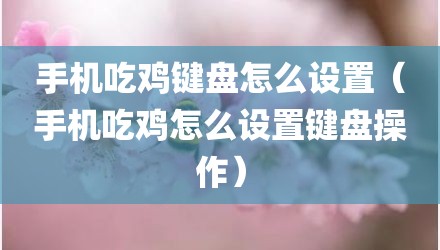 手机吃鸡键盘怎么设置（手机吃鸡怎么设置键盘操作）