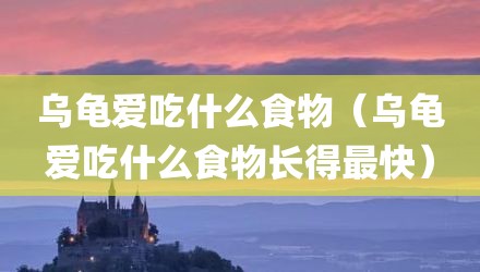 乌龟爱吃什么食物（乌龟爱吃什么食物长得最快）