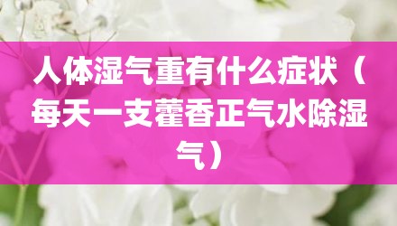 人体湿气重有什么症状（每天一支藿香正气水除湿气）