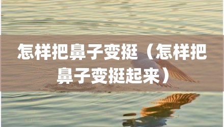 怎样把鼻子变挺（怎样把鼻子变挺起来）