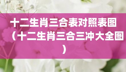 十二生肖三合表对照表图（十二生肖三合三冲大全图）