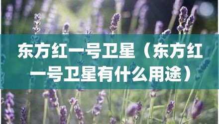 东方红一号卫星（东方红一号卫星有什么用途）