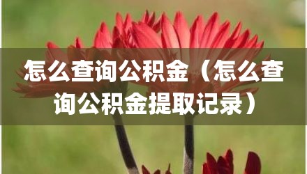 怎么查询公积金（怎么查询公积金提取记录）