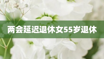 两会延迟退休女55岁退休