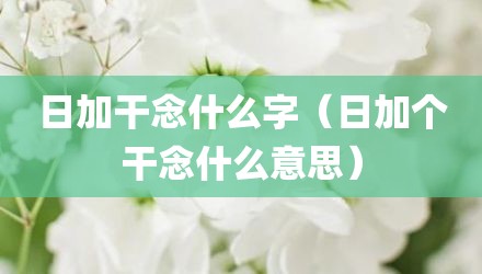 日加干念什么字（日加个干念什么意思）