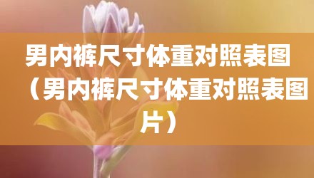 男内裤尺寸体重对照表图（男内裤尺寸体重对照表图片）