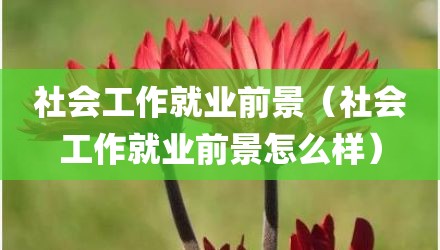 社会工作就业前景（社会工作就业前景怎么样）