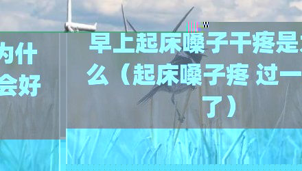 早上起床嗓子干疼是为什么(起床嗓子疼 过一会好了)