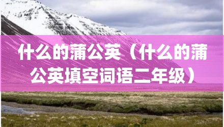 什么的蒲公英（什么的蒲公英填空词语二年级）