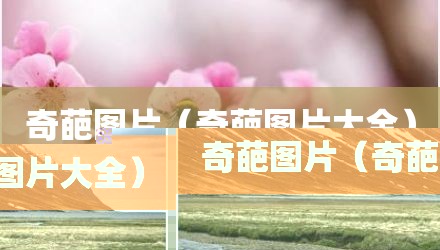 奇葩图片(奇葩图片大全)