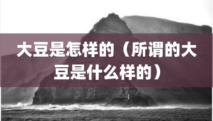 大豆是怎样的（所谓的大豆是什么样的）