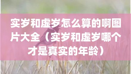 实岁和虚岁怎么算的啊图片大全(实岁和虚岁哪个才是真实的年龄)