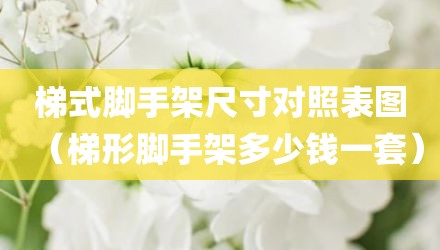 梯式脚手架尺寸对照表图（梯形脚手架多少钱一套）