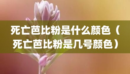 死亡芭比粉是什么颜色(死亡芭比粉是几号颜色)