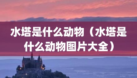 水塔是什么动物（水塔是什么动物图片大全）