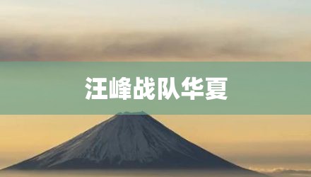 汪峰战队华夏