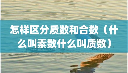 怎样区分质数和合数（什么叫素数什么叫质数）