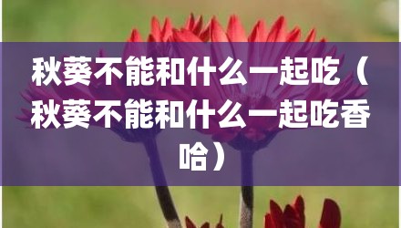 秋葵不能和什么一起吃（秋葵不能和什么一起吃香哈）