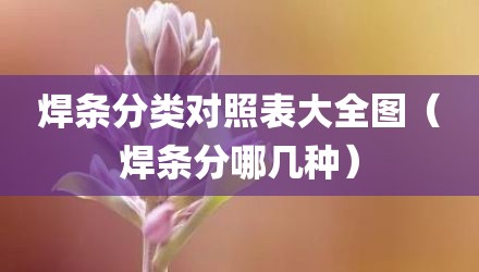 焊条分类对照表大全图（焊条分哪几种）