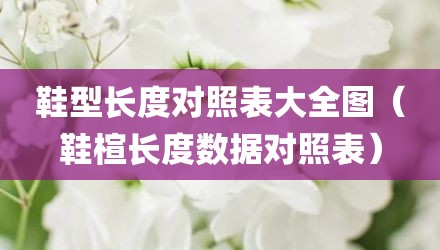 鞋型长度对照表大全图（鞋楦长度数据对照表）