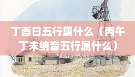 丁酉日五行属什么（丙午丁未纳音五行属什么）