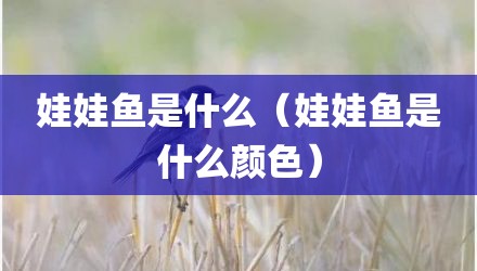 娃娃鱼是什么（娃娃鱼是什么颜色）
