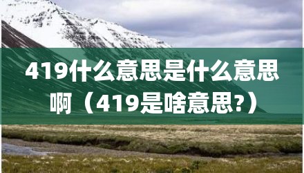 419什么意思是什么意思啊（419是啥意思?）