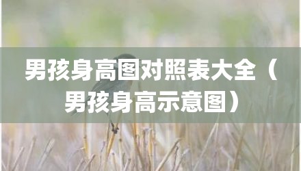 男孩身高图对照表大全（男孩身高示意图）